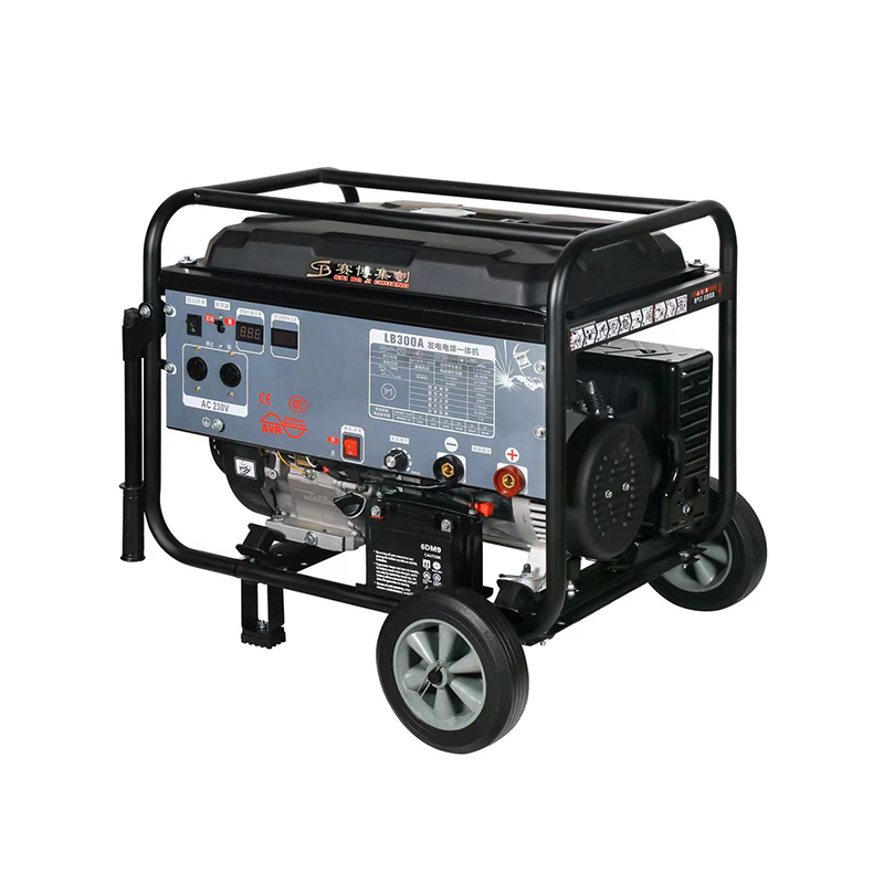 Export-Specific Customized Gasoline 300a Generator Welding 110V/220V Dual Voltage 60HZ Us Standard Product