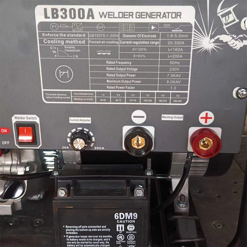 Export-Specific Customized Gasoline 300a Generator Welding 110V/220V Dual Voltage 60HZ Us Standard Product