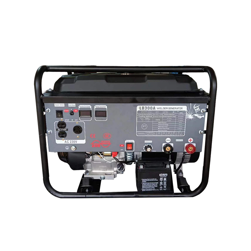 Export-Specific Customized Gasoline 300a Generator Welding 110V/220V Dual Voltage 60HZ Us Standard Product