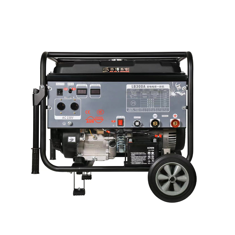 Export-Specific Customized Gasoline 300a Generator Welding 110V/220V Dual Voltage 60HZ Us Standard Product